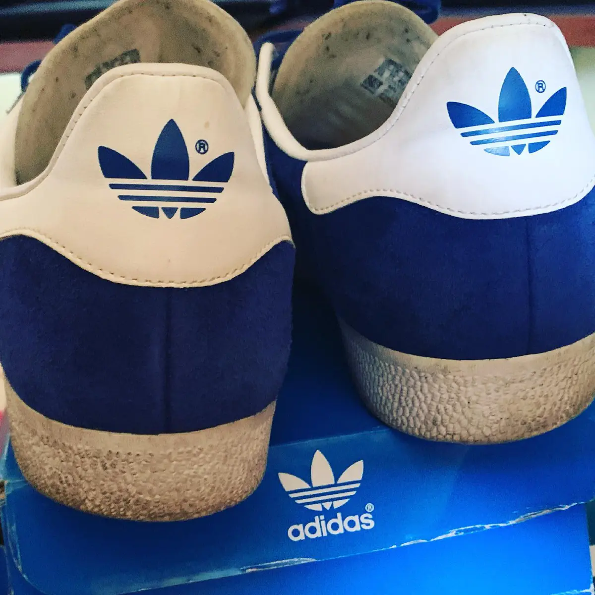 adidas Gazelle — 46